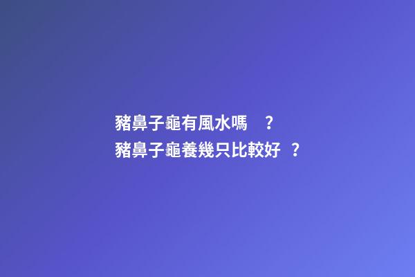 豬鼻子龜有風水嗎？豬鼻子龜養幾只比較好？